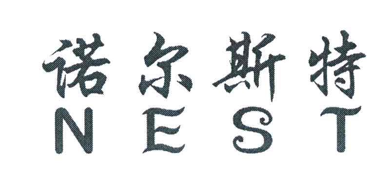 诺尔斯特 NEST
