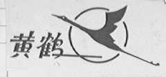 黄鹤