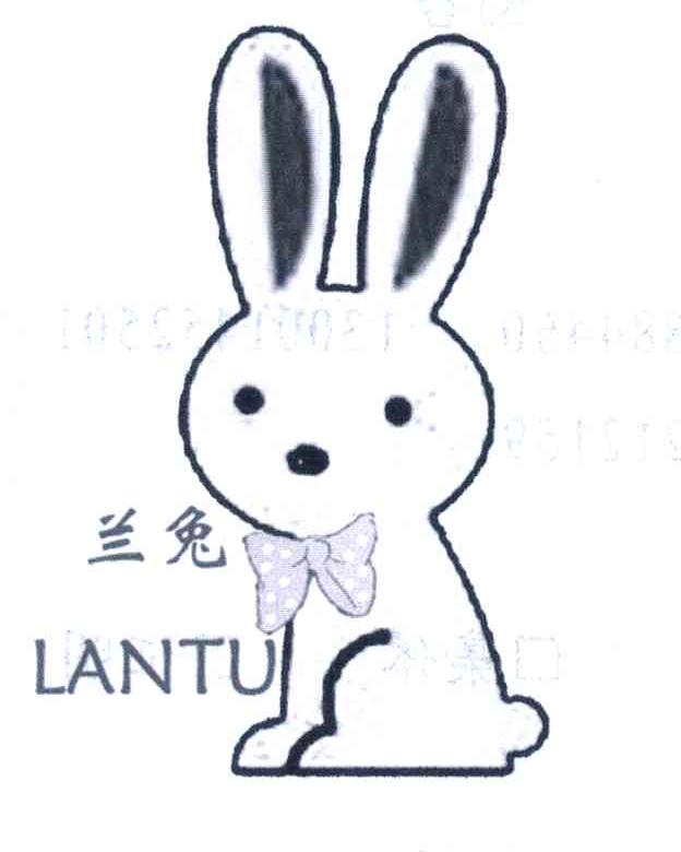 兰兔