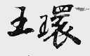 王环