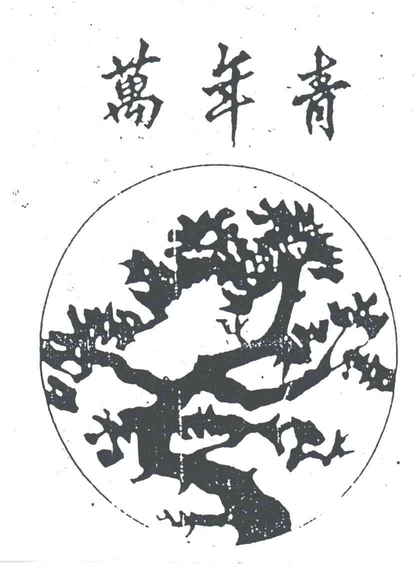 万年青