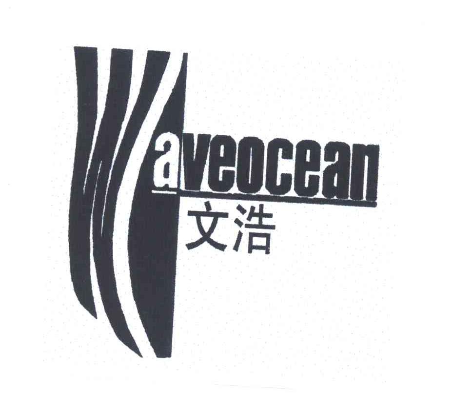 文浩