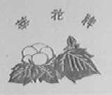 莘花