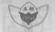 玉桂