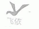 飞依