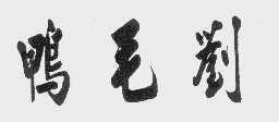 鸭毛刘