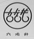 九龙井