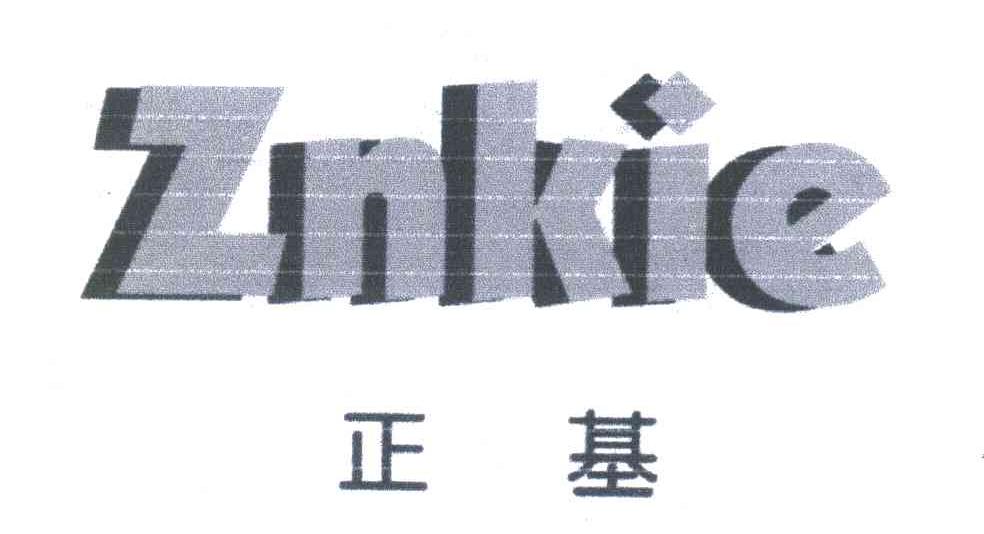 正基;ZNKIE