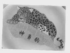神勇豹