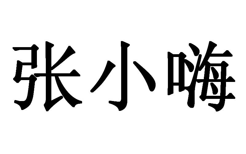 张小嗨