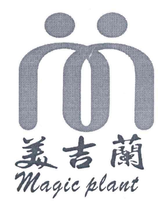美吉兰;MAGIC PLANT
