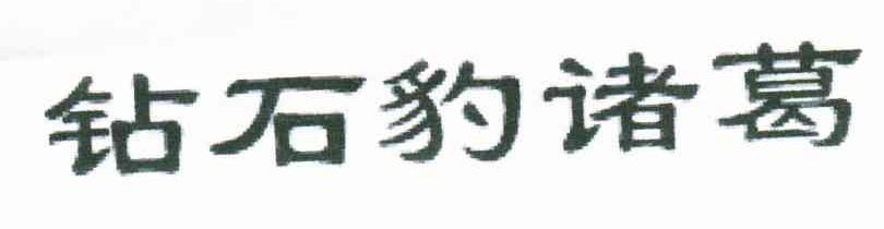 钻石豹诸葛