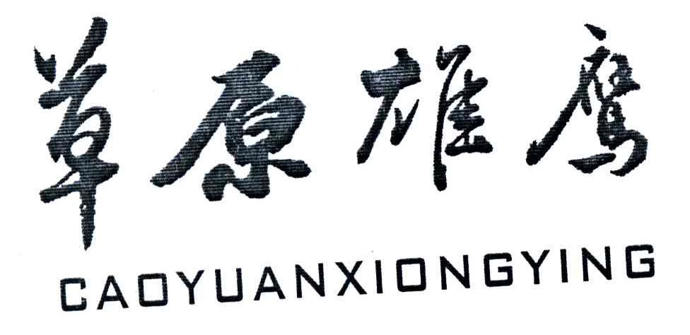 草原雄鹰