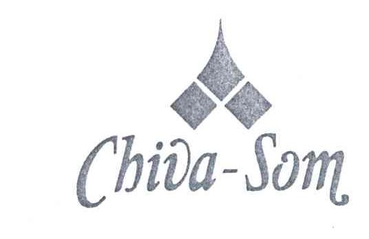 CHIVA_SOM
