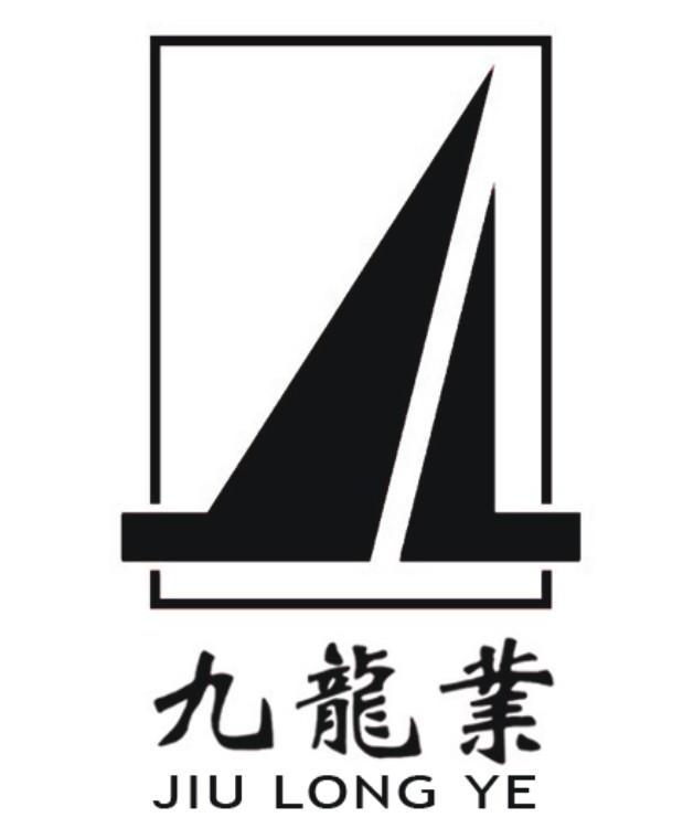 九龙业