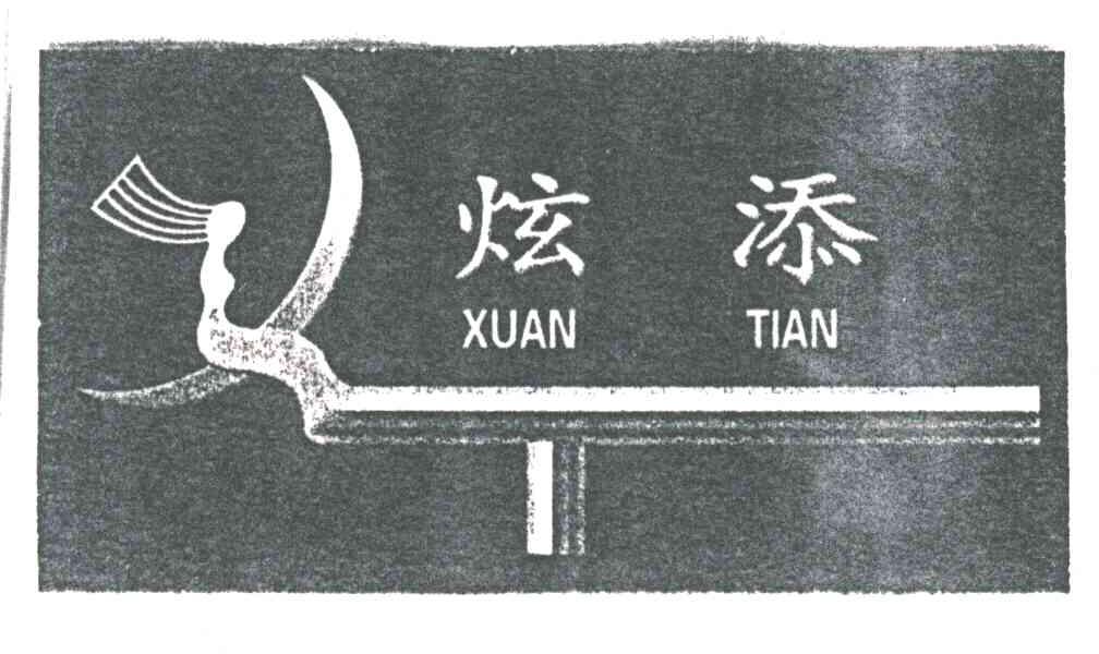 炫添