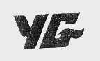 YG