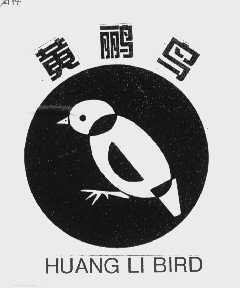 黄鹂鸟   HUANG LI BIRD