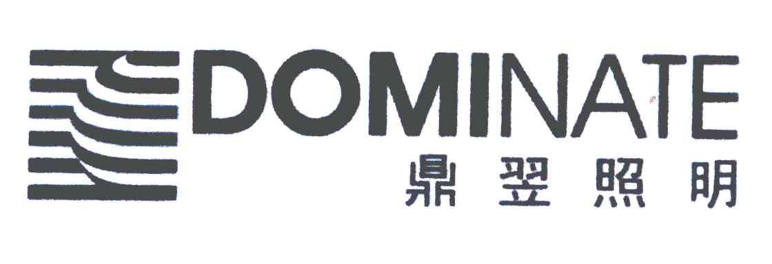 鼎翌照明;DOMINATE
