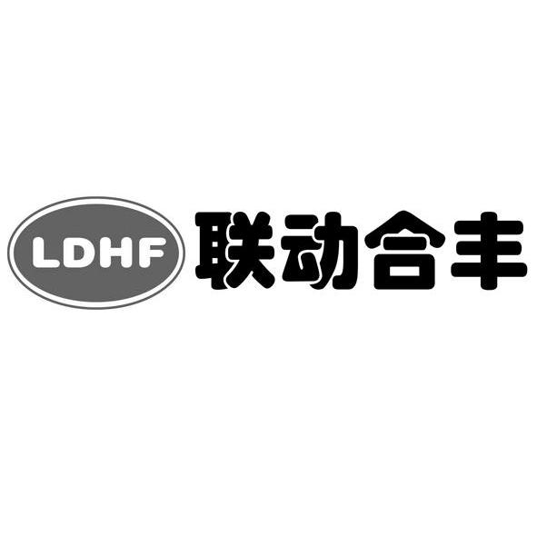 联动合丰 LDHF