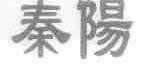 秦阳