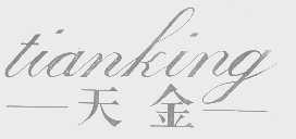 天金   TIANKING