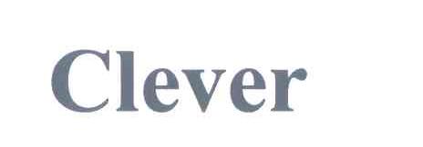 CLEVER