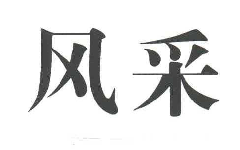 风采
