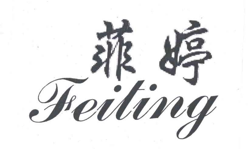 菲婷