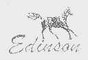 EDINSON