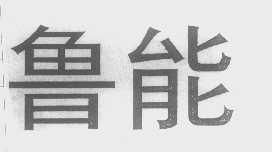 鲁能