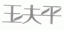玉夫平