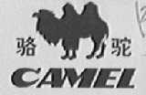 骆驼
