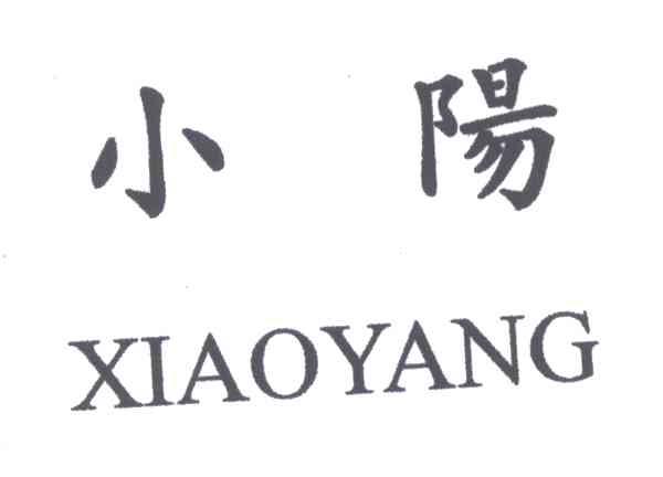 小阳