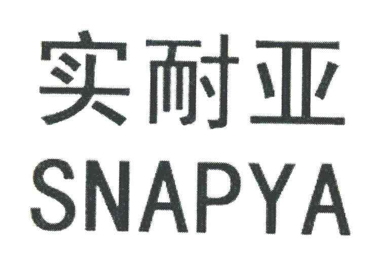 实耐亚 SNAPYA