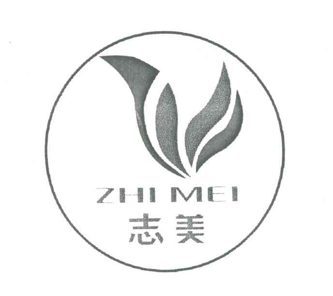 志美