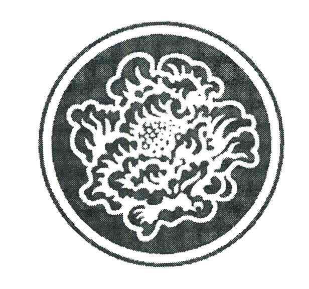 图形