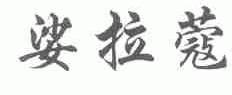 娑拉蔻