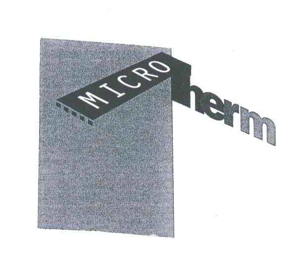 MICRO HERM