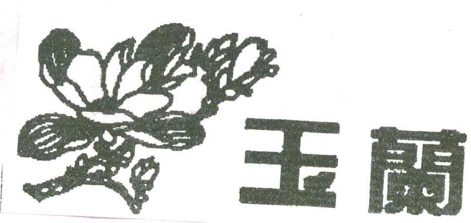 玉兰