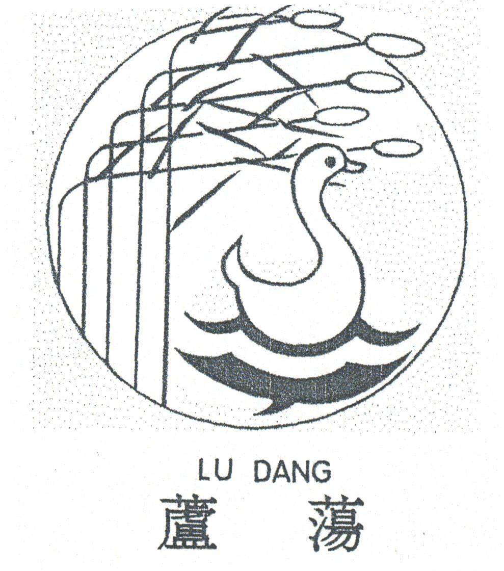 芦荡
