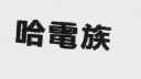 哈电族