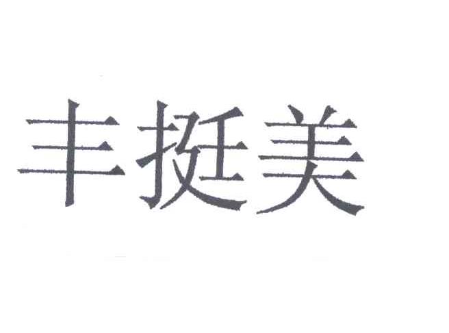 丰挺美