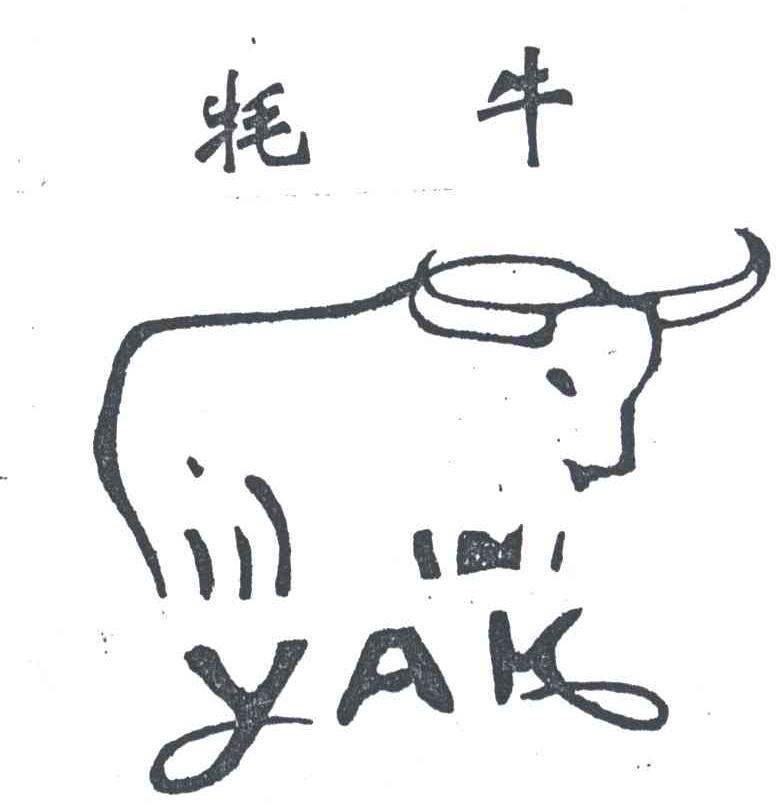 牦牛 YAK