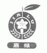 嘉绿