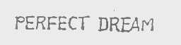 PERFECT DREAM