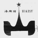 海斯特 HAIST
