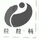粒粒杨