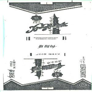 向阳塔