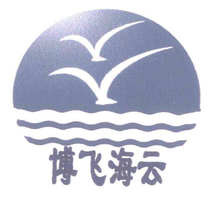 博飞海云